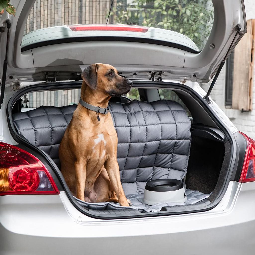 How to Travel With Dogs Without Destroying Your Car Interior