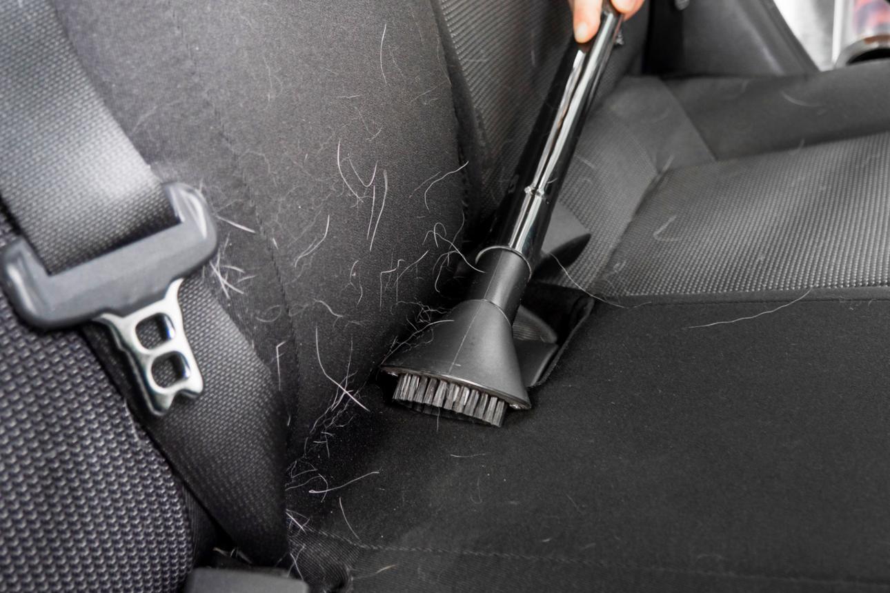 How to Remove Pet Hair From Your Car Fast