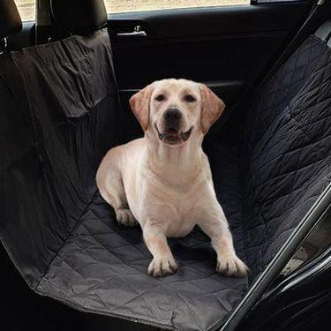 Why Dog Car Hammocks Became So Popular