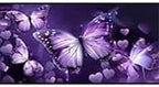 Purple Butterfly Car Windshield Sun Shield, 59*31.5 Inches, UV Rays Protection, Universal Fit for SUV, Truck, Car