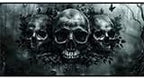 Skull Car Windshield Sun Shade Skeleton Black Forest Art Heatshield Front Window Car Sun Shade Windshield Blocks UV Rays Sun Visor Protector for Car Sedan Truck SUV Accessories 59x31.5 Inch