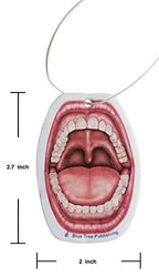 Car Air Freshener Anatomy Dentist Set 10 Pack