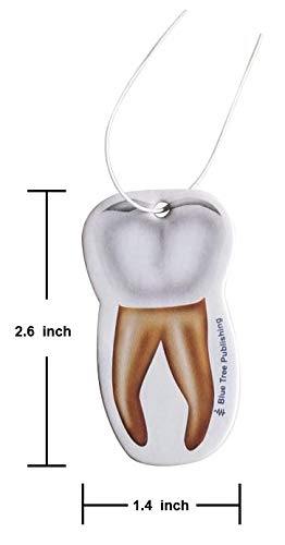 Car Air Freshener Anatomy Dentist Set 10 Pack