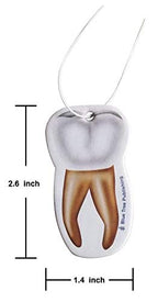 Car Air Freshener Anatomy Dentist Set 10 Pack