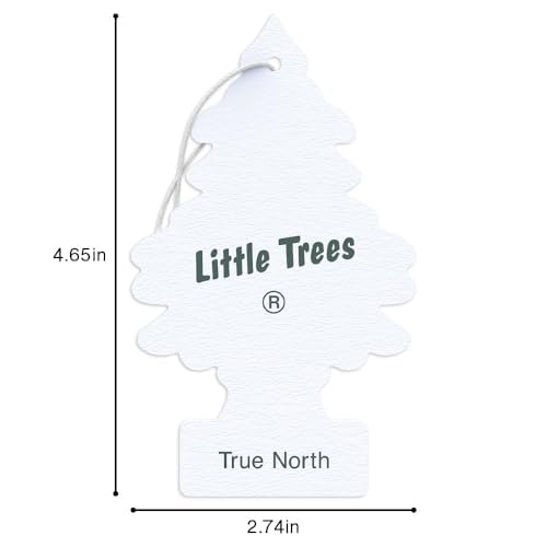 LITTLE TREES Car Air Freshener | Hanging Tree Provides Long Lasting Scent for Auto and Home | 24 Air Fresheners |True North