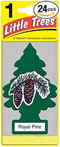 LITTLE TREES Car Air Freshener | Hanging Paper Tree for Home or Car | Royal Pine | 24 Pack