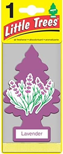 LITTLE TREES Car Air Freshener | Hanging Paper Tree for Home or Car | Lavender | 6 Pack