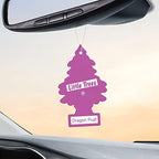 LITTLE TREES Car Air Freshener | Hanging Tree Provides Long Lasting Scent for Auto and Home | 24 Air Fresheners |Dragon Fruit