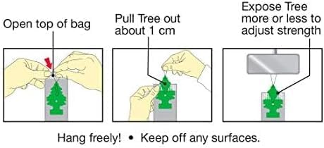Little Trees Blackberry Clove Air Fresheners 12 Pack