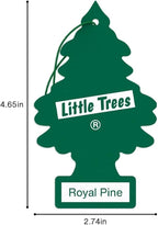 LITTLE TREES Car Air Freshener | Hanging Paper Tree for Home or Car | Royal Pine | 3 Pack