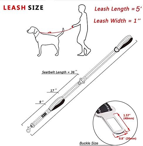 PoyPet 5 Feet Dog Leash - 3M Reflective - 2 Cushioned Handles - Functional Car Seat Belt(Mint Blue)