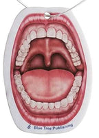 Car Air Freshener Anatomy Dentist Set 10 Pack