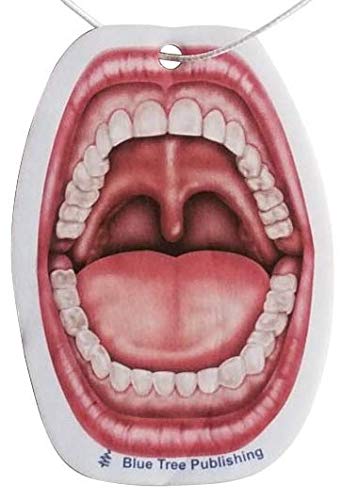 Car Air Freshener Anatomy Dentist Set 10 Pack