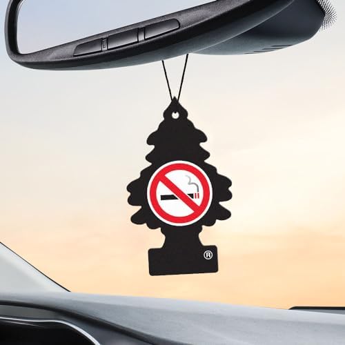 LITTLE TREES Car Air Freshener | Hanging Tree Provides Long Lasting Scent for Auto and Home | 24 Air Fresheners |No Smoking