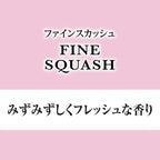 Air Fresheners Carall Glare, Fine Squash #1075