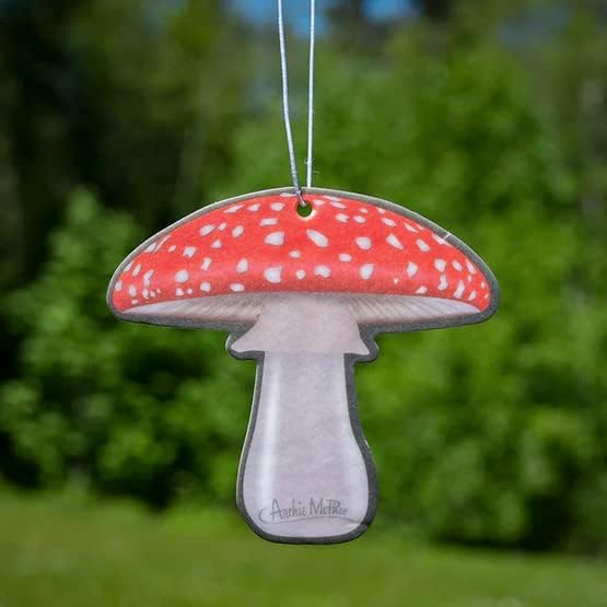 Aromatic Mushroom Sandlewood Scented Deluxe Air Freshener!