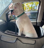 Pet Booster Car Seat for Large Pet or Two Small Pets with 2 Safe Secure Leash Seat Belts and Elevated View Easy Fold Up for Compact Storage