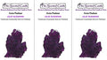 3 Pack Lilac Blossoms Scented Michigan Shape Air Fresheners