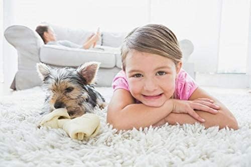 Capture Carpet & Rug Dry Cleaner (8lb) Pet Stain & Odor Neutralizer (32 oz), Pet Stain Remover for Carpet, Rug, Couch, Car & Upholstery - Bundle
