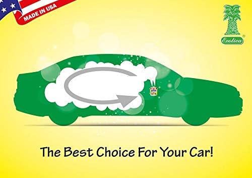 Exotica Car Air Freshener | Spill-Proof Can | Organic | for Home & Auto | Long Lasting Freshness | (Pack of 12) Jasmine