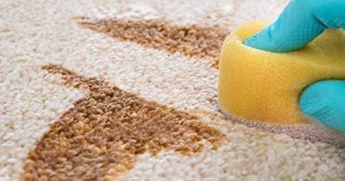 Capture Carpet Total Care Kit 100 Pet Stain & Odor Neutralizer (32 oz), Pet Stain Remover for Carpet, Rug, Couch, Car & Upholstery Bundle