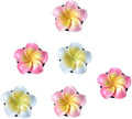 6Pcs Multicolor Pentapetal Flower Car Accessories for Women, Beach Flower Car Air Vent Clips Air Conditioner Outlet Decoration Cars Interior Decor Charm, Air Fresheners Interior Accessories