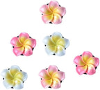 6Pcs Colorful Pentapetal Flower Car Accessories for Women, Beach Flower Car Air Vent Clips Air Conditioner Outlet Decoration Cars Interior Decor Charm, Automotive Air Fresheners