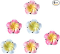 6Pcs Multicolor Pentapetal Flower Car Accessories for Women, Beach Flower Car Air Vent Clips Air Conditioner Outlet Decoration Cars Interior Decor Charm, Air Fresheners Interior Accessories
