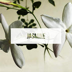 Exotica Car Air Freshener | Spill-Proof Can | Organic | for Home & Auto | Long Lasting Freshness | (Pack of 12) Jasmine