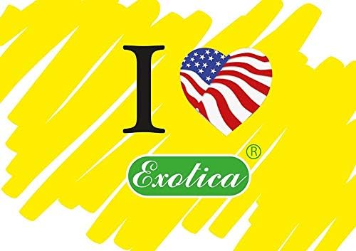 Exotica Car Air Freshener | Spill-Proof Can | Organic | for Home & Auto | Long Lasting Freshness | (Pack of 12) Jasmine