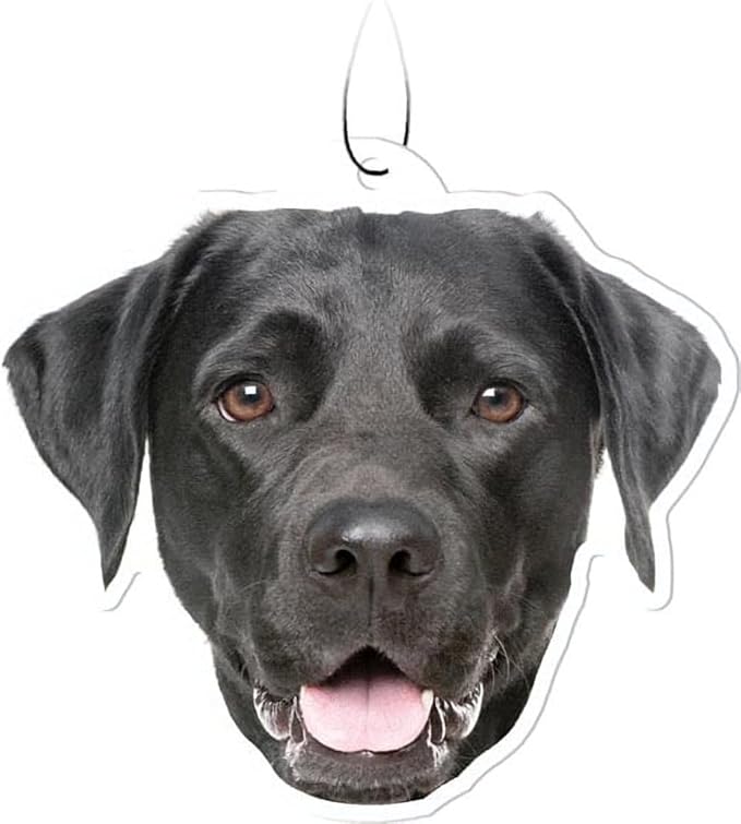 Spoontiques Black Lab Air Freshener (3pk) - Dog Themed Car Interior Accessories & Essentials - Hanging Deodorizer, Long-Lasting Fragrance (New Car Scent)
