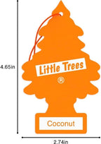 LITTLE TREES Car Air Freshener | Hanging Paper Tree for Home or Car | Coconut | 12 Pack (Packaging May Vary)