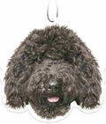Spoontiques Black Labradoodle Air Freshener