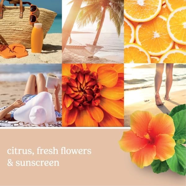 Yankee Candle ScentPlug Refill, Sun & Sand Tropical Citrus & Lavender, Home Air Freshener Plugin for Continuous Fragrance, Odor Neutralizing Scented Oil, 0.625 Ounce (Pack of 6)