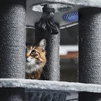 Remodeez Litter Box Deodorizer and Cat Odor Trapper, Made From Natural Renewable Coconut Shell Charcoal, Natural Air Fresheners, Odor Absorber - 2PACK