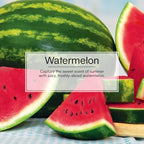 LITTLE TREES Car Air Freshener | Hanging Tree Provides Long Lasting Scent for Auto and Home | 24 Air Fresheners |Watermelon