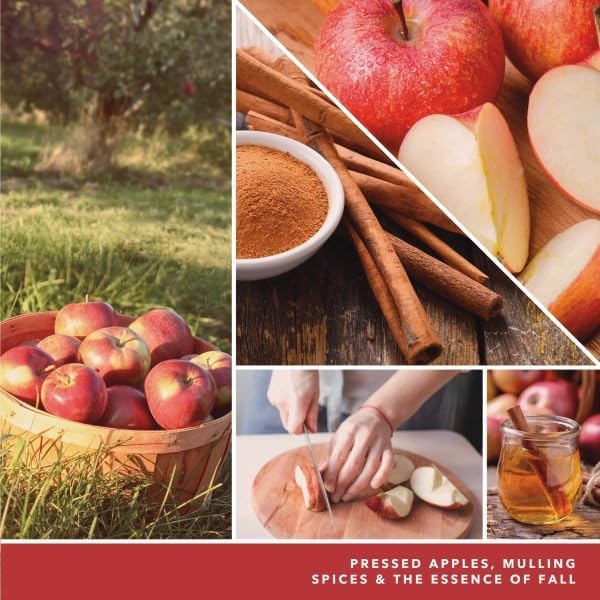 Yankee Candle ScentPlug Refill, Ciderhouse, 1 CT (Pack of 4)