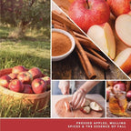 Yankee Candle ScentPlug Refill, Ciderhouse, 1 CT (Pack of 6)
