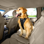 Kurgo Enhanced Strength Tru-Fit Dog Car Harness - Pet Travel Safety Harness - Crash Test Certified Fit - Five Point Adjustment - Secure Buckle - Padded Chest - Black - Small
