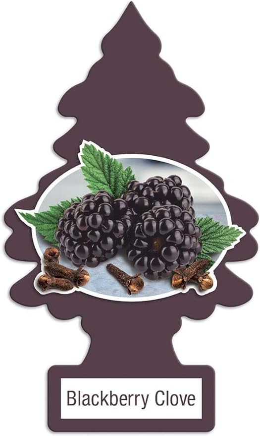 Little Tree 6 most popular scents for Home, Car, Van, Truck, RV Air Fresheners Black Ice | Blackberry Clove | New Car Scent | Vanillaroma | Leather | Strawberry AHSR Products Bundle Set