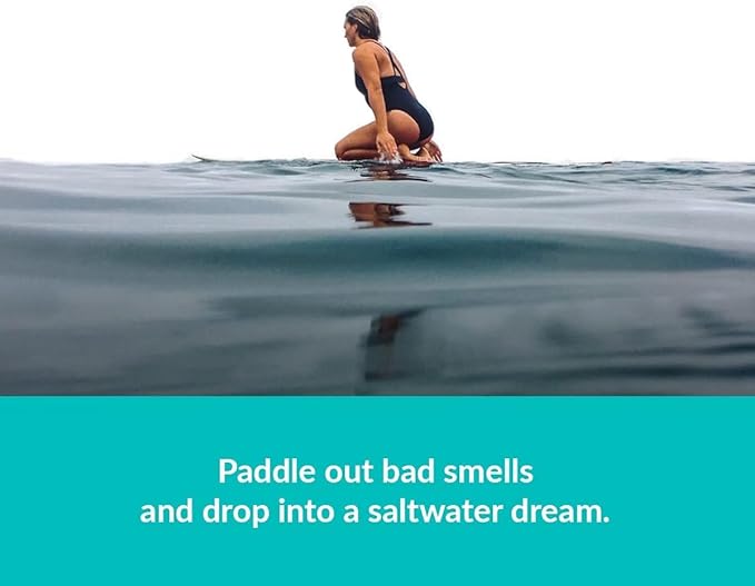 ulu Lagoon Hanging Car Air Freshener | Tropical Beach Coconut Surf Wax Scent Mini Wave | Long Lasting Car Freshener, Closet and Beyond | Made In USA | 3 Pack (Honu)