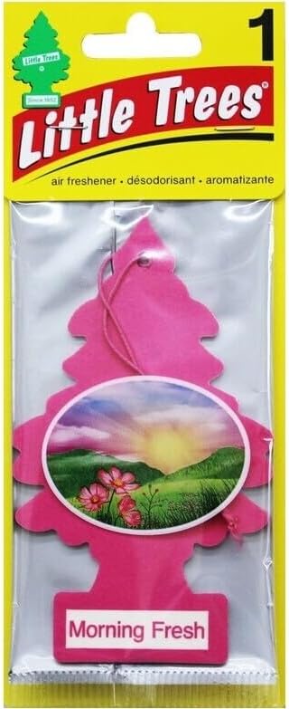 LITTLE TREES Car Air Freshener | Hanging Paper Tree for Home or Car | Morning Fresh