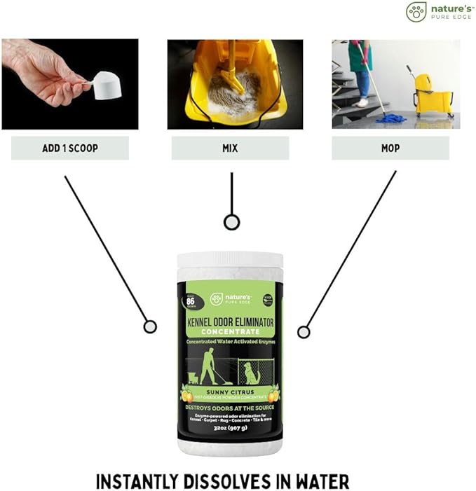 Nature's Pure Edge Enzyme Powder Concentrate Makes 86 Gallons - Professional Use for Kennel and Pet Odor Elimination - Removes Urine Poop from Carpets Floors - Sunny Citrus