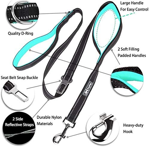 PoyPet 5 Feet Dog Leash - 3M Reflective - 2 Cushioned Handles - Functional Car Seat Belt(Mint Blue)
