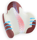 Lumbar Support Pillow for Office Chair, Gaming Chair, Car Driver Seat Back Cushion, Bed & Couch, Gifts for Friends and Parents,Ergonomic Back Support Pillow with Comfortable Memory Foam(Red/White)