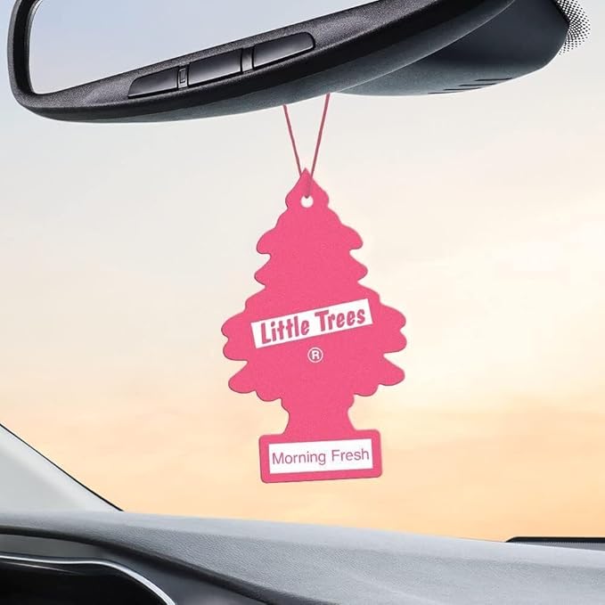 LITTLE TREES Car Air Freshener | Hanging Paper Tree for Home or Car | Morning Fresh | 24 Pack