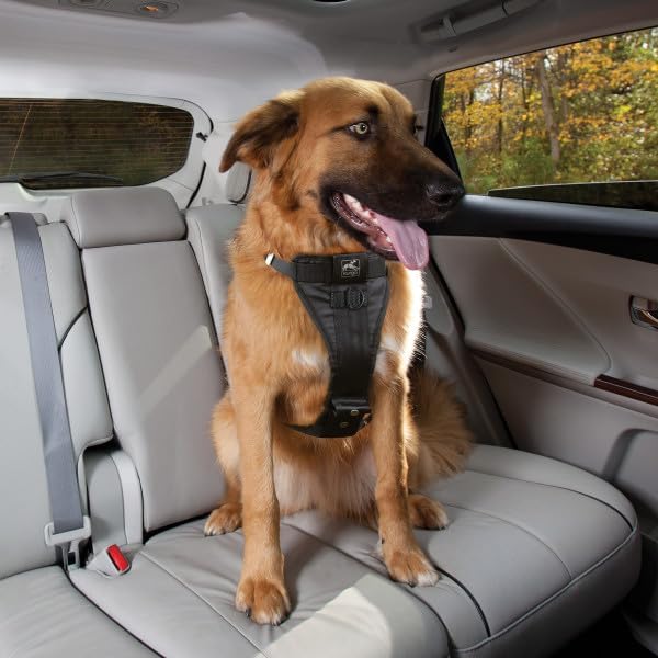 Kurgo Enhanced Strength Tru-Fit Dog Car Harness - Pet Travel Safety Harness - Crash Test Certified Fit - Five Point Adjustment - Secure Buckle - Padded Chest - Black - Small