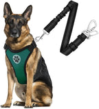 SlowTon Dog Seat Belt Harness for Car, Dog Car Harness Adjustable Mesh Breathable & Dog Seatbelt Safety Tether with Elastic Bungee for Small Medium Large Pets(Green, Double Clip, L)