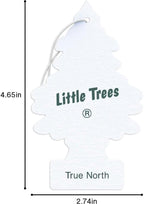 Little Trees Air Fresheners, True North (Pack of 12)
