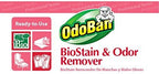OdoBan Professional Cleaning and Odor Control Solutions, Ready-to-Use Biostain and Odor Remover, Made in the USA, 1 Gallon